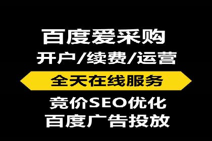 SEM代理操作技巧：成功案例揭秘